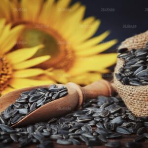 Roasted & Salted Sunflower Seeds200gr- تخمه آفتاب گردان نمکی ۲۰۰ گرمی